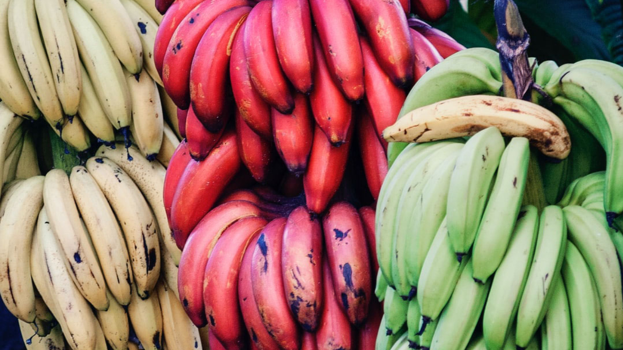 nutrition info of banana